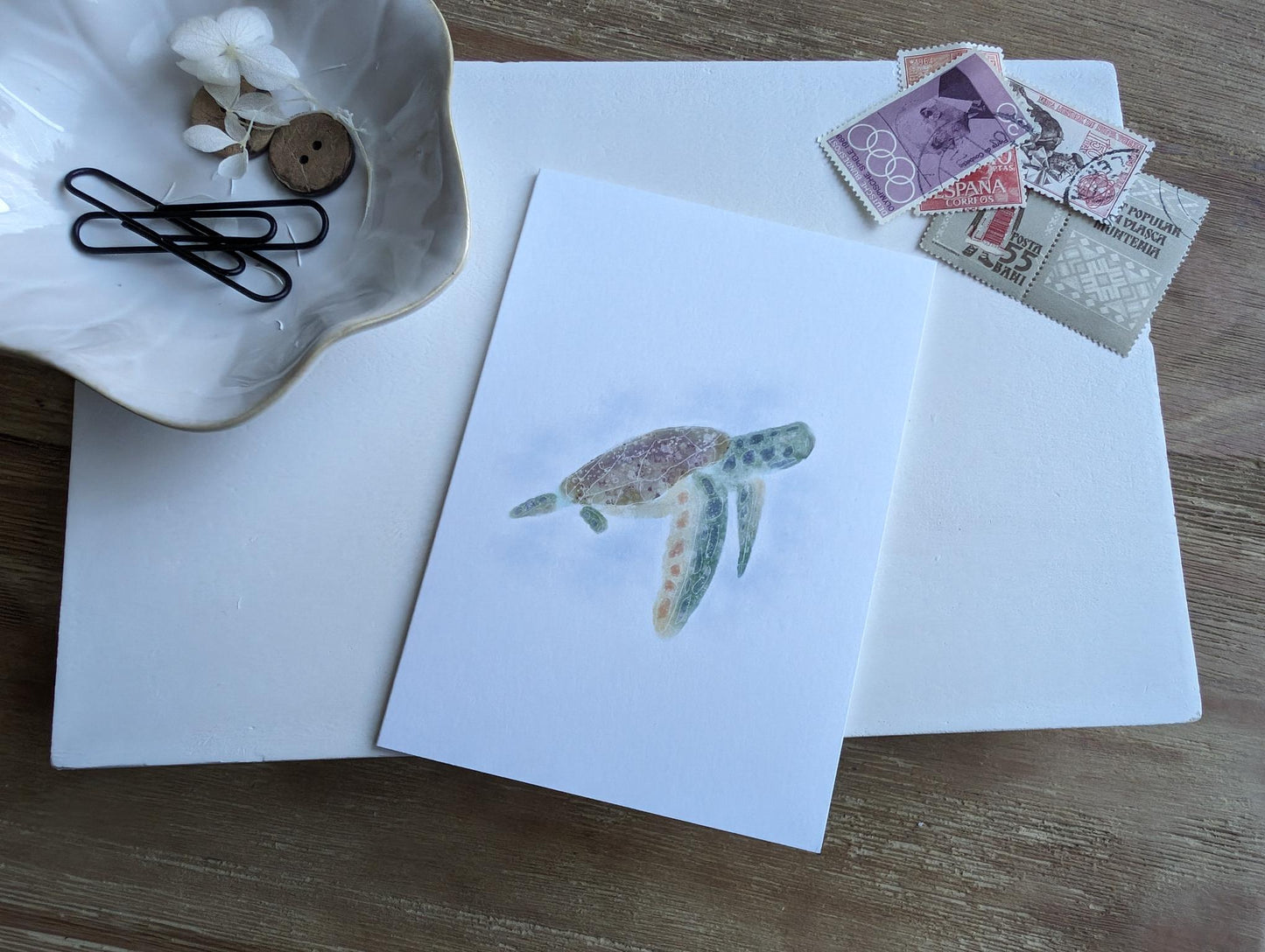 Notecard | Ocean Life Collection | Watercolor