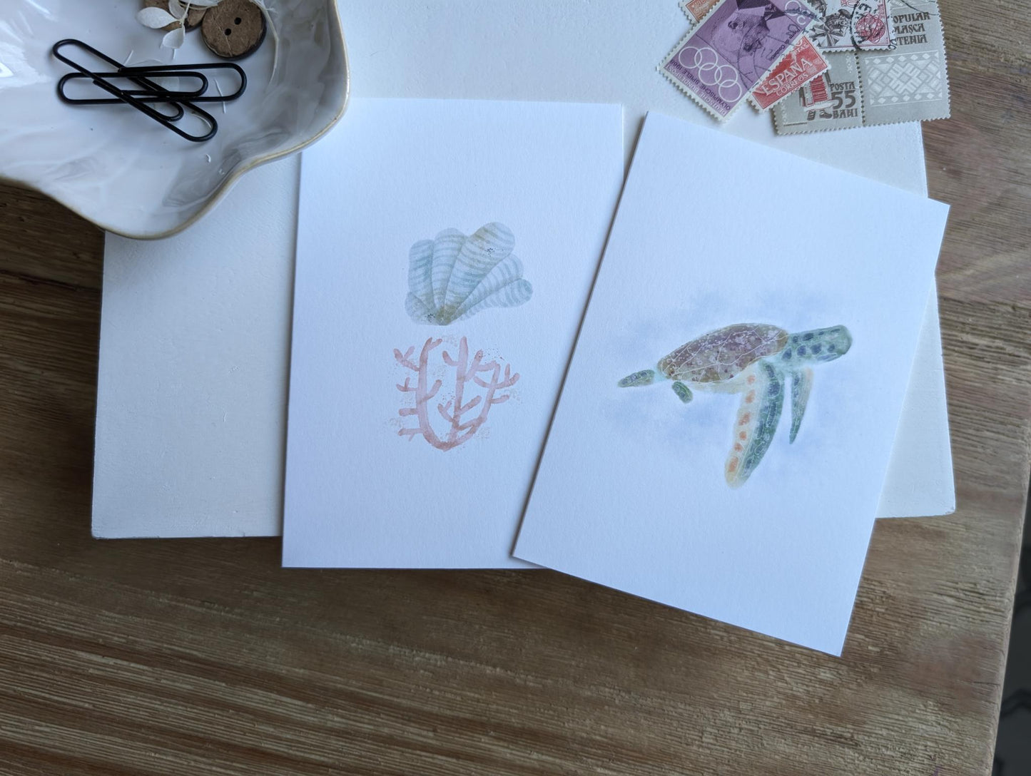 Notecard | Ocean Life Collection | Watercolor