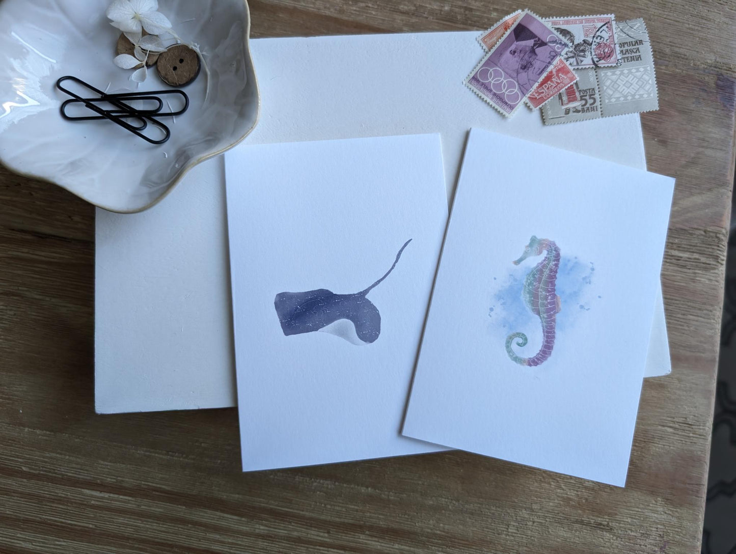 Notecard | Ocean Life Collection | Watercolor