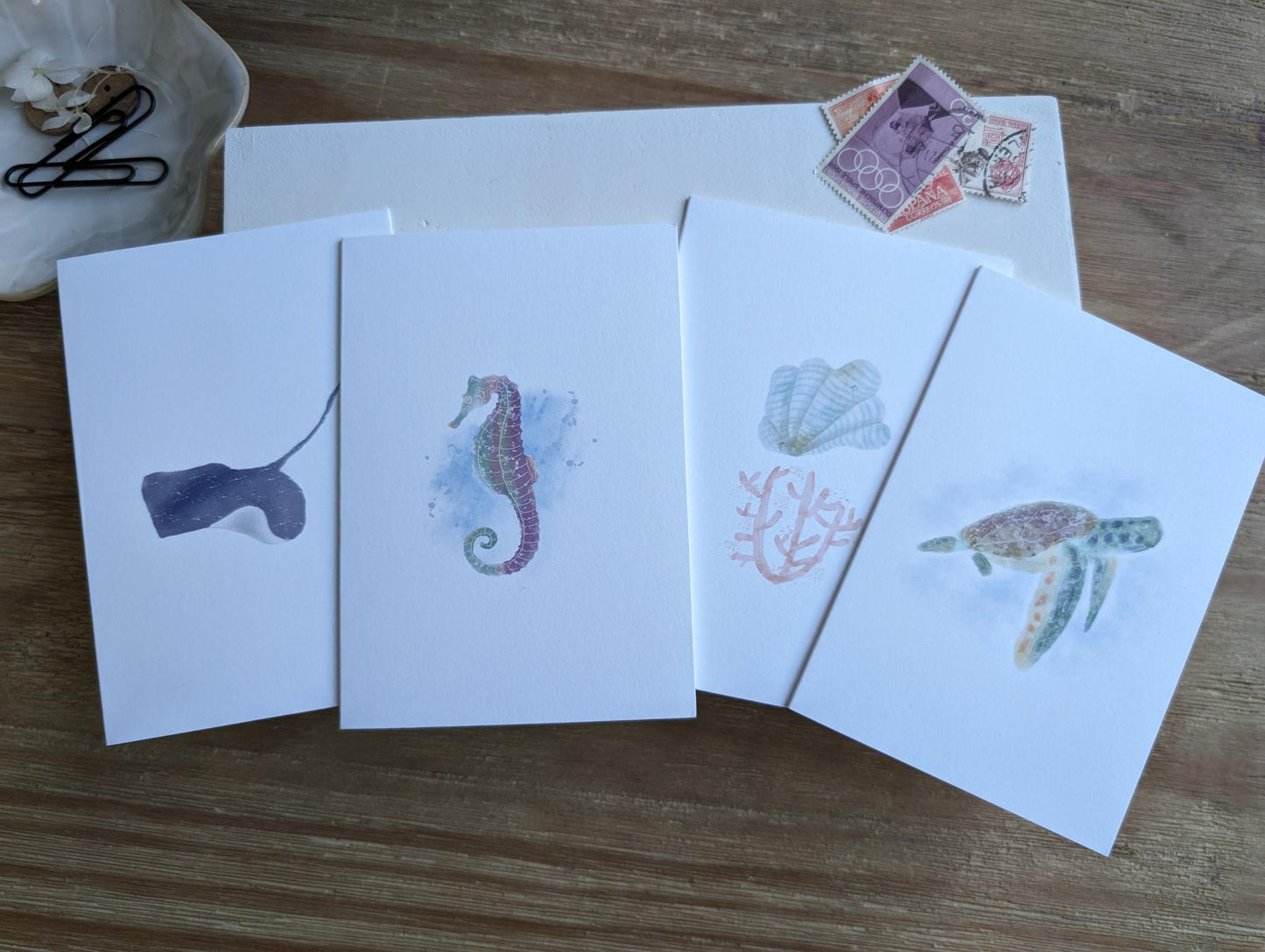 Notecard | Ocean Life Collection | Watercolor