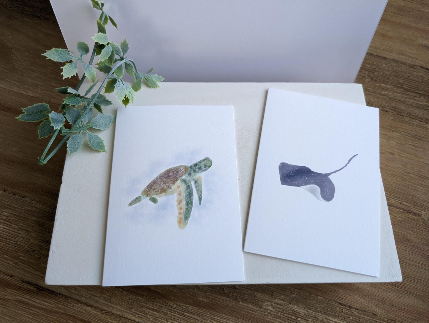 Notecard | Ocean Life Collection | Watercolor