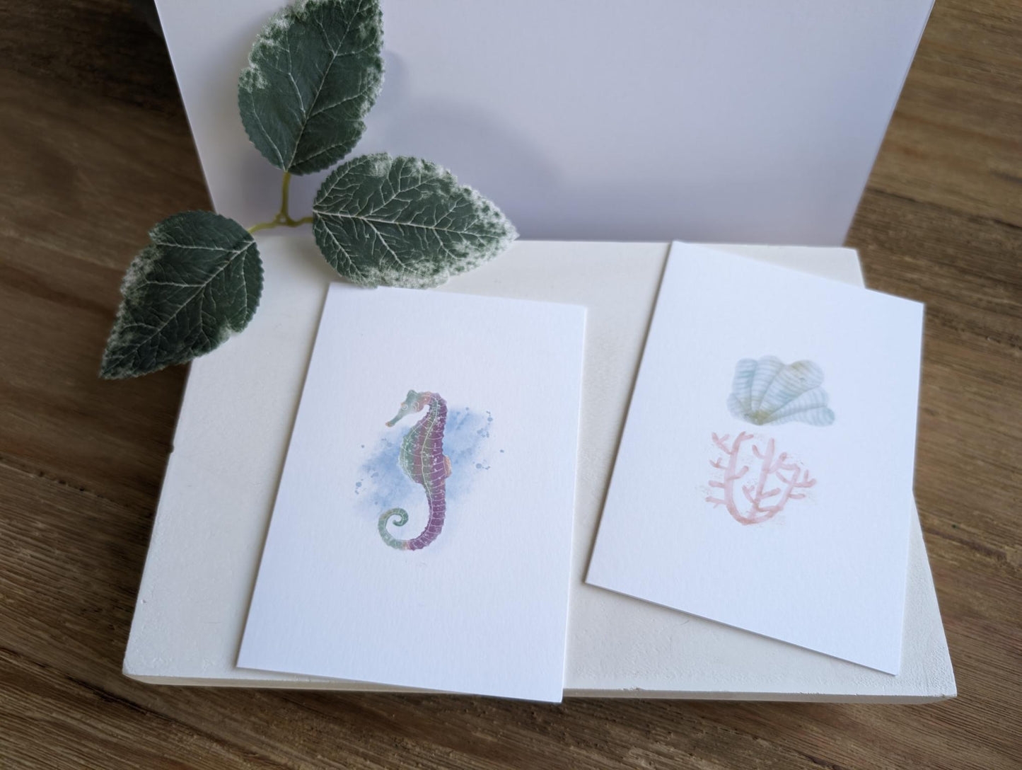 Notecard | Ocean Life Collection | Watercolor