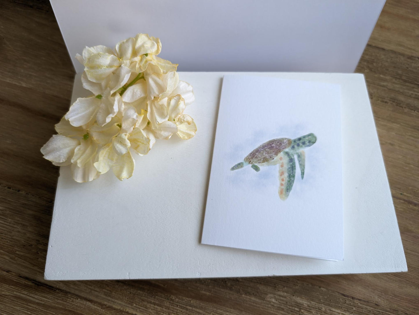 Notecard | Ocean Life Collection | Watercolor