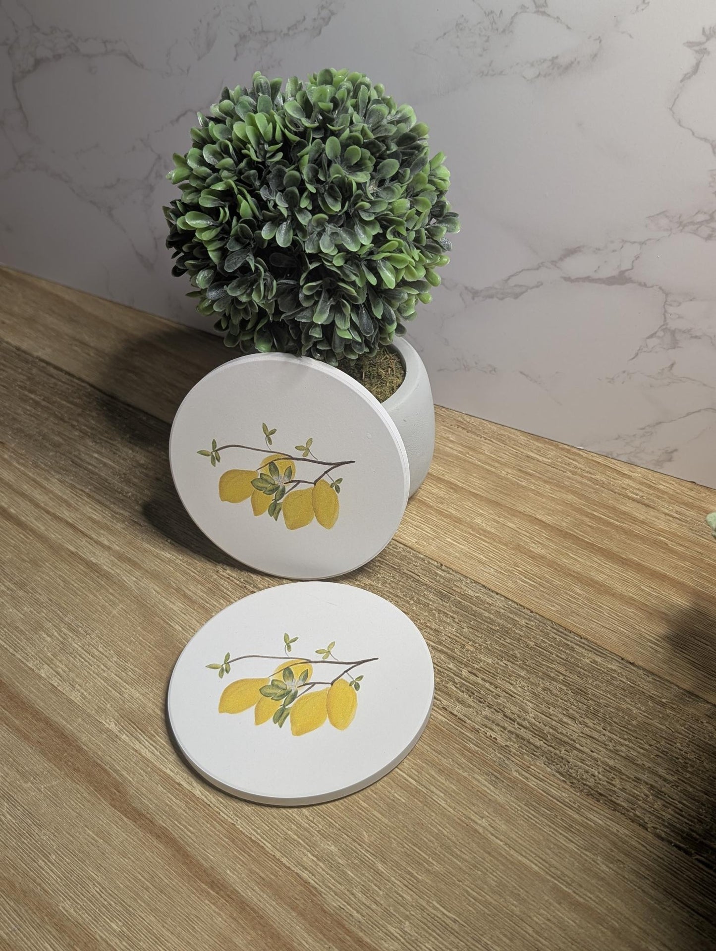 Coaster | Ceramic | Round | 2ct. | Watercolor