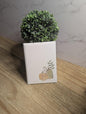 Holiday card | Fall Collection